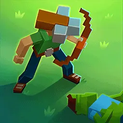 Blocky Universe 